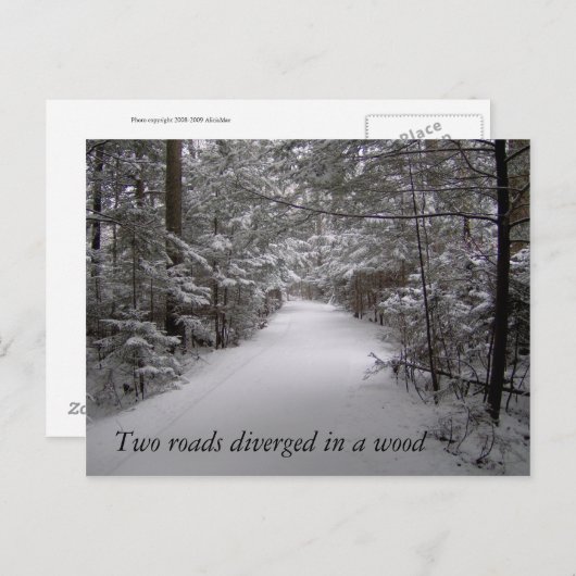 冬のはがきに2つの道路が分岐した ポストカード (正面/裏面)