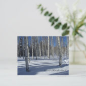 冬のはがきに《植物》アスペン ポストカード (スタンド正面)