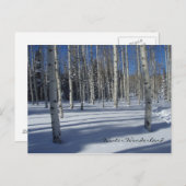 冬のはがきに《植物》アスペン ポストカード (正面/裏面)