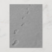 冬のはがき! ポストカード (正面)