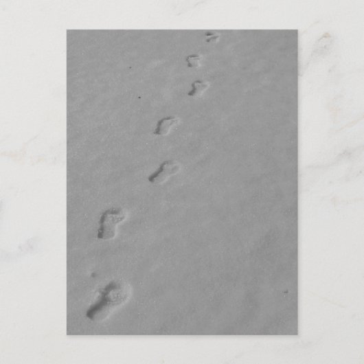 冬のはがき! ポストカード (正面)