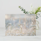 冬のやさしさ、初雪 シーズンカード (スタンド正面)