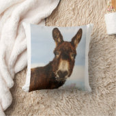 冬のろば クッション (ブランケット)