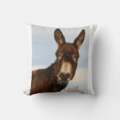 冬のろば クッション (正面)