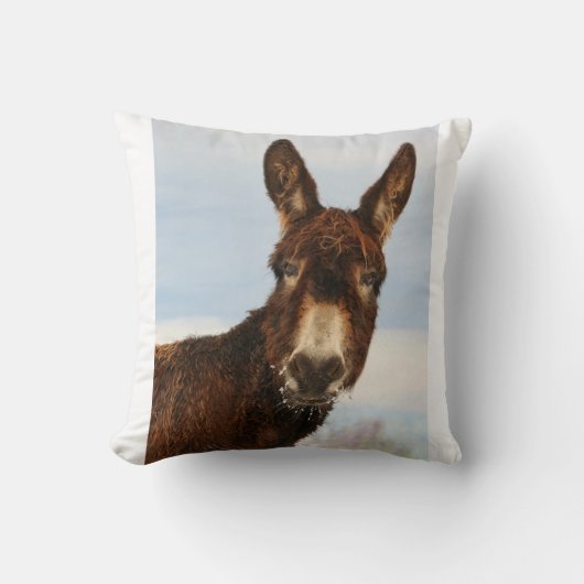 冬のろば クッション (正面)