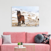 冬のアイスランドの馬 キャンバスプリント (インサイチュ (リビング))
