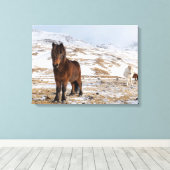 冬のアイスランドの馬 キャンバスプリント (インサイチュ (ウッドフロア))