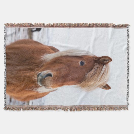 冬のアイスランドの馬 スローブランケット (正面)
