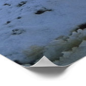 冬のアイスランドの馬 ポスター (角)