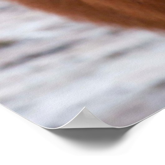 冬のアイスランド馬2 ポスター (角)