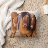 冬のアイスランド馬 クッション (ブランケット)