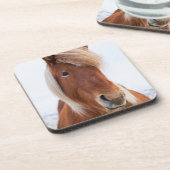 冬のアイスランド馬 コースター (左側)