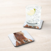 冬のアイスランド馬 コースター (右側)