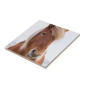 冬のアイスランド馬 タイル (側面)