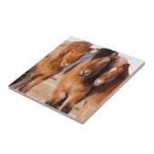 冬のアイスランド馬 タイル (側面)