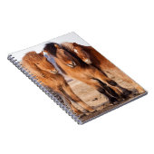 冬のアイスランド馬 ノートブック (右側)