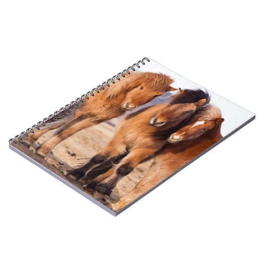 冬のアイスランド馬 ノートブック (左側)