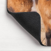 冬のアイスランド馬 マウスパッド (コーナー)