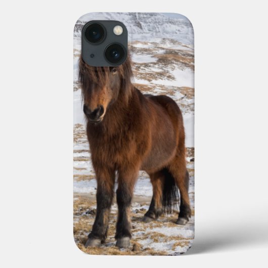 冬のアイスロッドホース Case-Mate iPhoneケース (裏面)