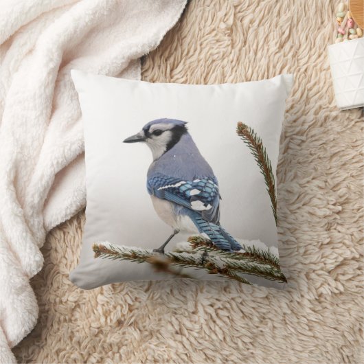 冬のアオカケス クッション (ブランケット)