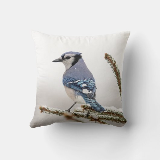 冬のアオカケス クッション (裏面)