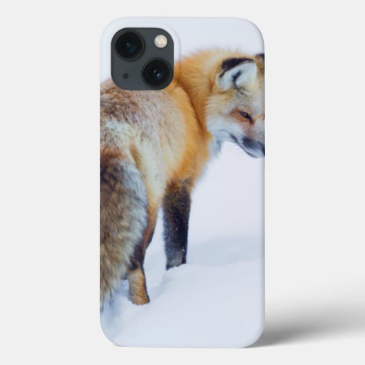 冬のアカギツネ Case-Mate iPhoneケース (裏面)