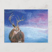 冬のアカシカ（鹿の子鹿） シーズンポストカード (正面)