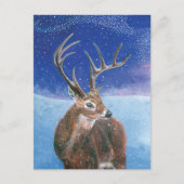 冬のアカシカ(鹿の子鹿) ポストカード (正面)