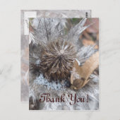 冬のアザミ感謝してい- Yuu Card ポストカード (正面/裏面)