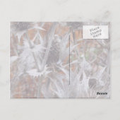 冬のアザミ感謝してい- Yuu Card ポストカード (裏面)