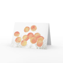 冬のアプリコットの夢