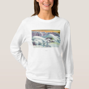 冬のアメリカの滝の眺め Tシャツ