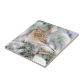 冬のアメリカシトド タイル (側面)