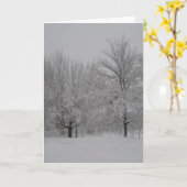 冬のアメリカハナノキ カード (黄色い花)