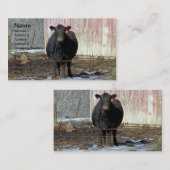 冬のアンガス黒い牛 名刺 (正面/裏面)