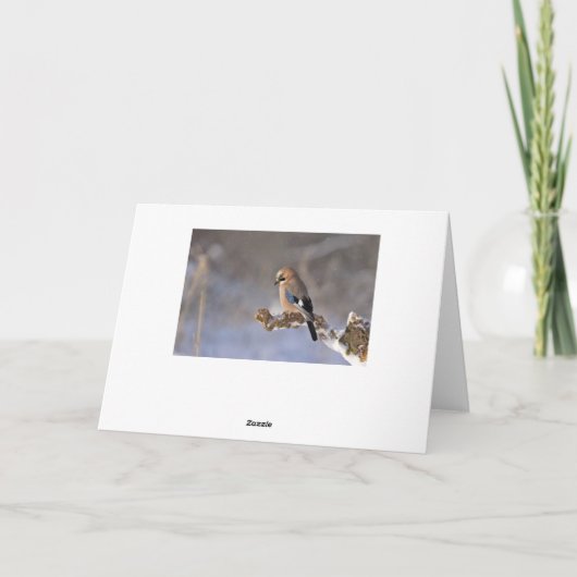 冬のイタリアのクリスマスカード シーズンカード (裏面)