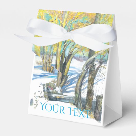 冬のウォータコルの絵画橋 フェイバーボックス (正面サイド)