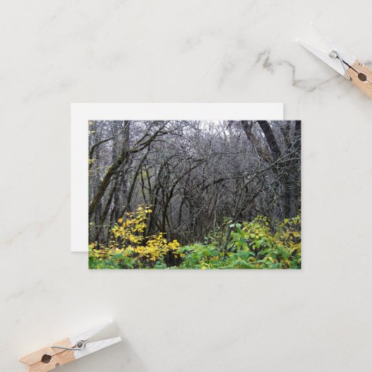 冬のウッズカード カード (正面/裏面インサイチュ)