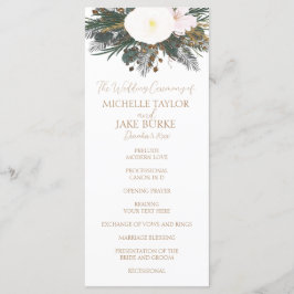 冬のエバ結婚ーグリーン式計画 プログラム