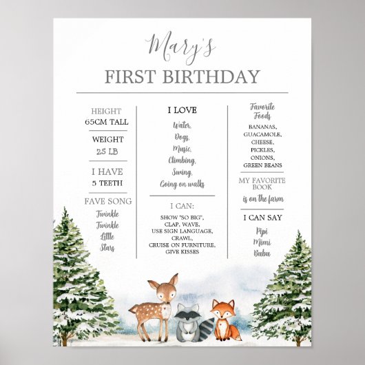 冬のオネダーランド動物の最初の誕生日マイルストーン ポスター (正面)