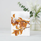 冬のオレンジ色の葉 ポストカード (スタンド正面)