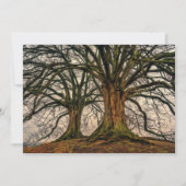 冬のオークの古木 (正面)