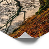 冬のオークの古木 ポスター (角)