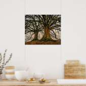 冬のオークの古木 ポスター (キッチン)