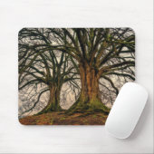 冬のオークの古木 マウスパッド (マウス)