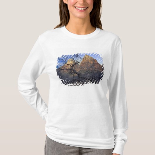 冬のオークの木、パトリオーク庭園 Tシャツ (正面)