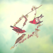 冬のオードボンズパープルフィンチ3羽 ウィンドウサイン (シート3)