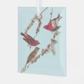 冬のオードボンズパープルフィンチ3羽 ガラスオーナメント (正面左)