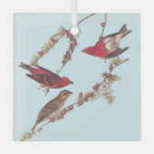 冬のオードボンズパープルフィンチ3羽 ガラスオーナメント (正面)