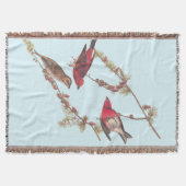 冬のオードボンズパープルフィンチ3羽 スローブランケット (正面)